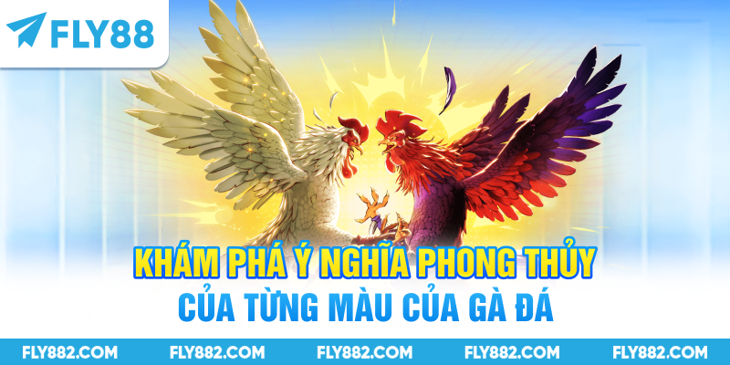 Khám phá ý nghĩa phong thủy của từng màu của gà đá