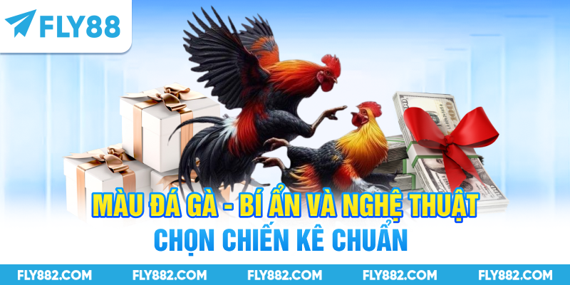 Màu Gà Đá - Bí Ẩn Và Nghệ Thuật Chọn Chiến Kê Chuẩn